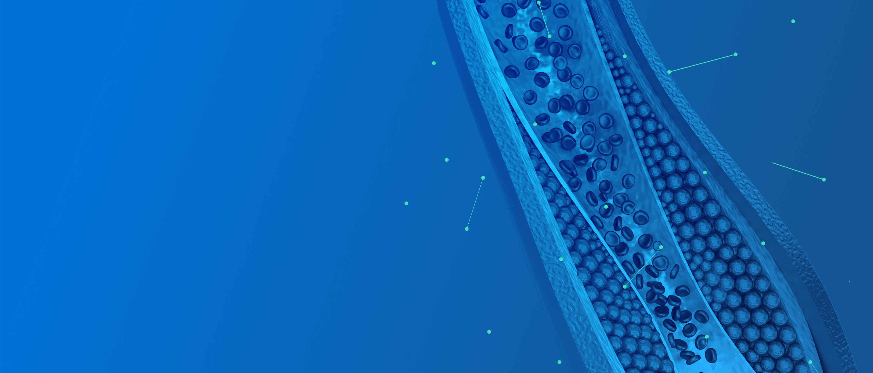 TCC6-LP-Header-2X