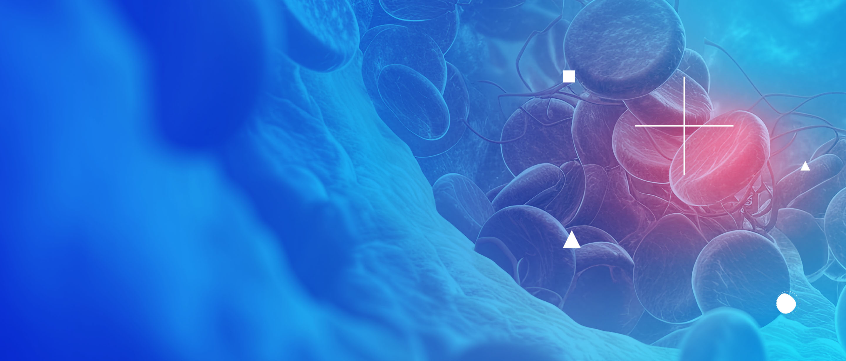 TCC7-LP-Header-2X